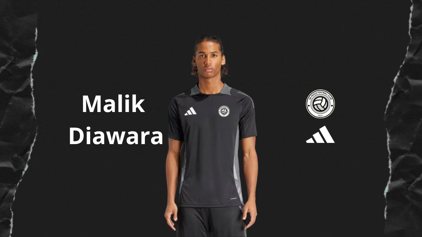 Image de Malik Diawara